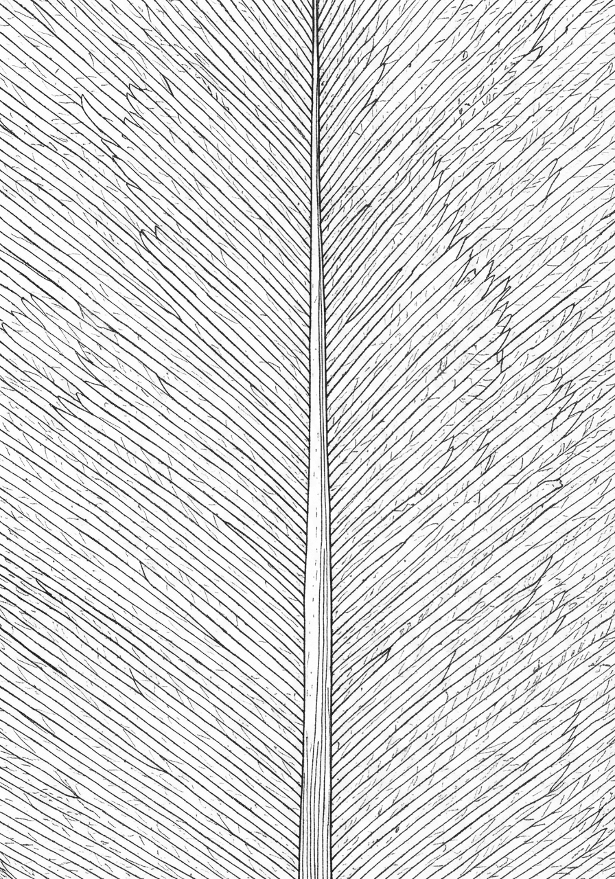 Intricate owl feather macro