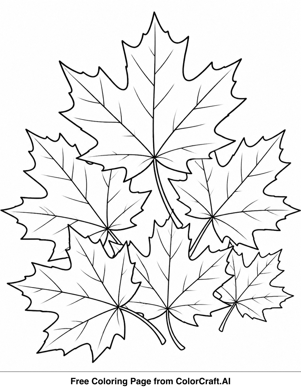 Line drawing of various maple leaf shapes for a printable coloring page.