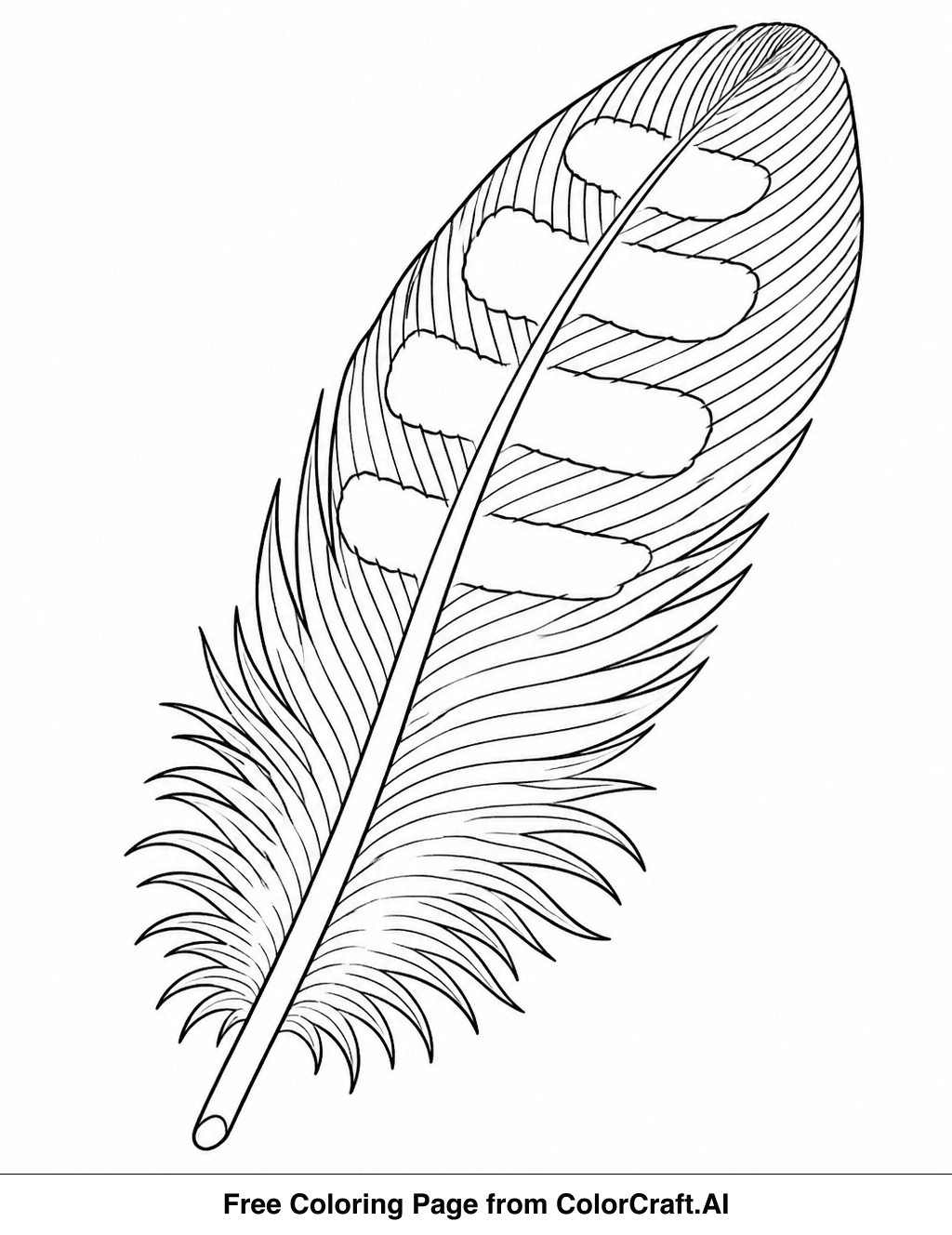 Line drawing of a detailed owl feather showing its delicate barbs and structure for coloring.
