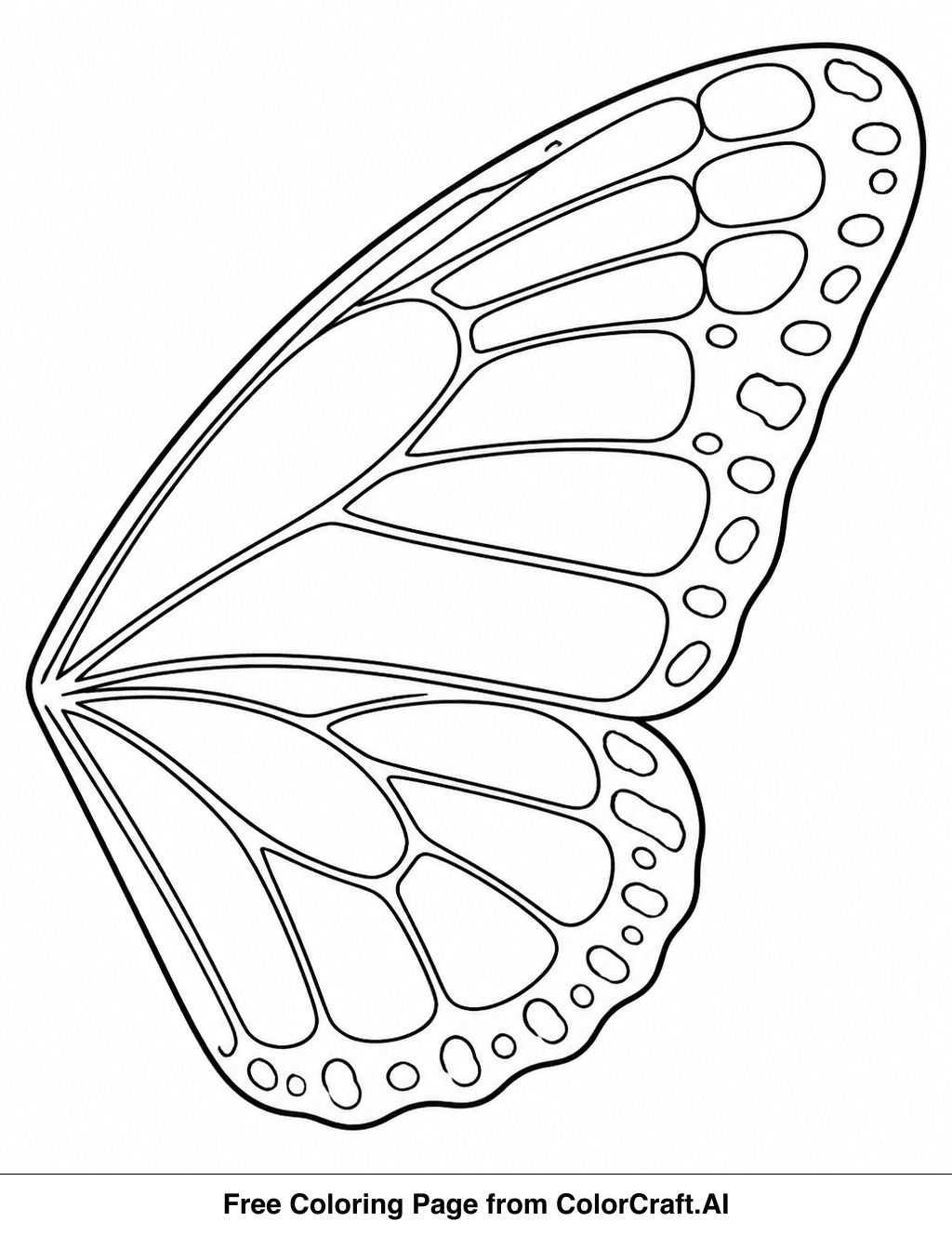 Line drawing of a butterfly wing showing scales and veins in a close-up perspective.