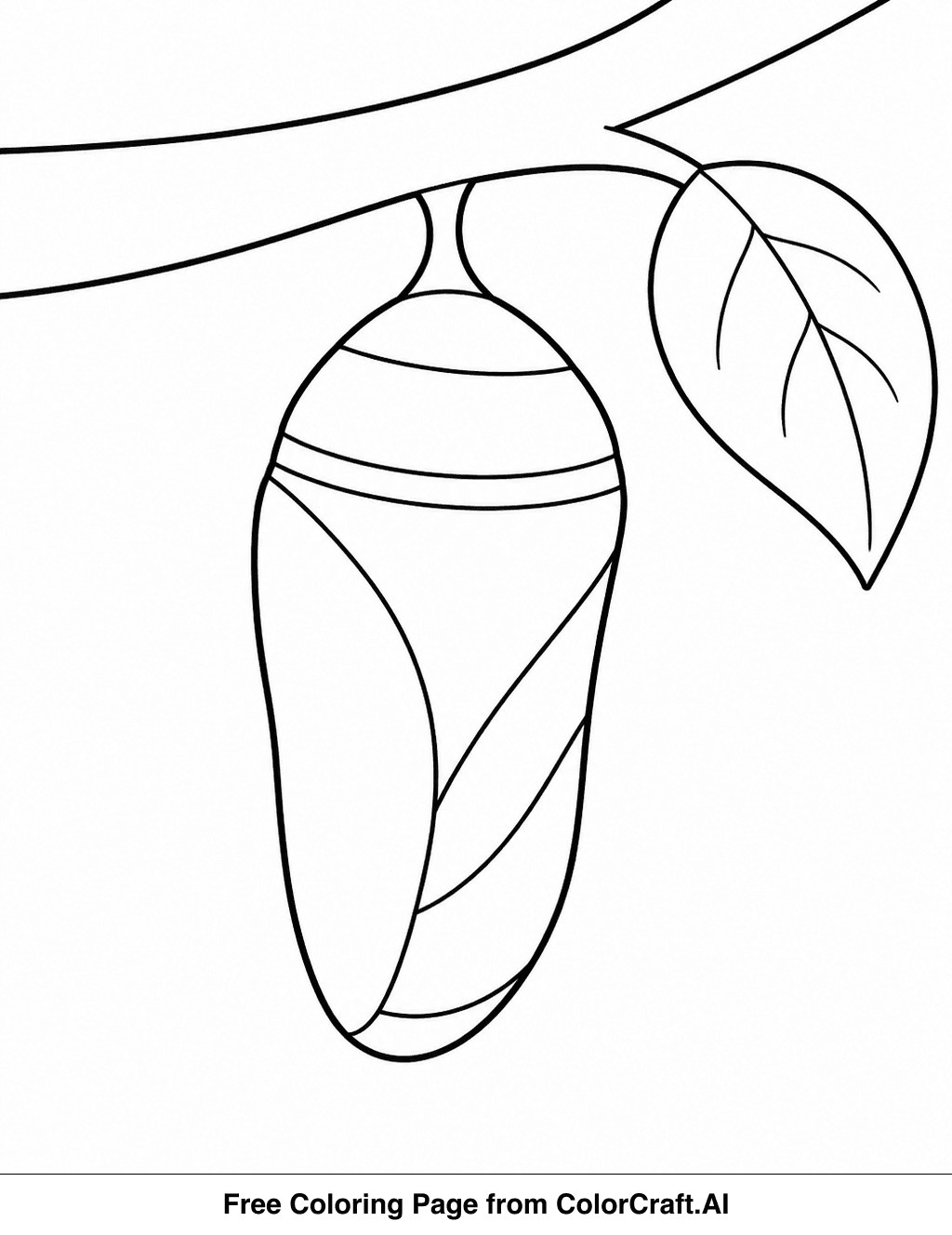Line drawing of a butterfly emerging from its chrysalis, ready for coloring.