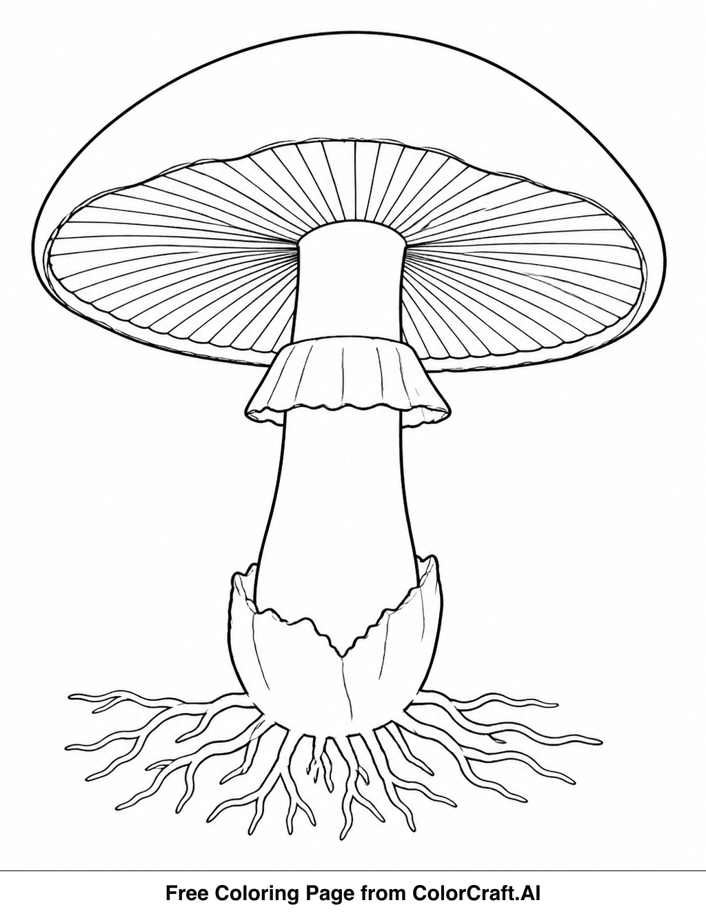 Line drawing of a mushroom showing its internal and external anatomical features for coloring.