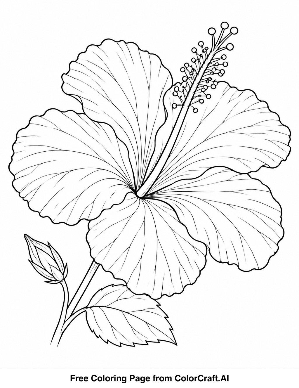 Line drawing of a hibiscus flower with detailed petals and a long curving stamen in the center.