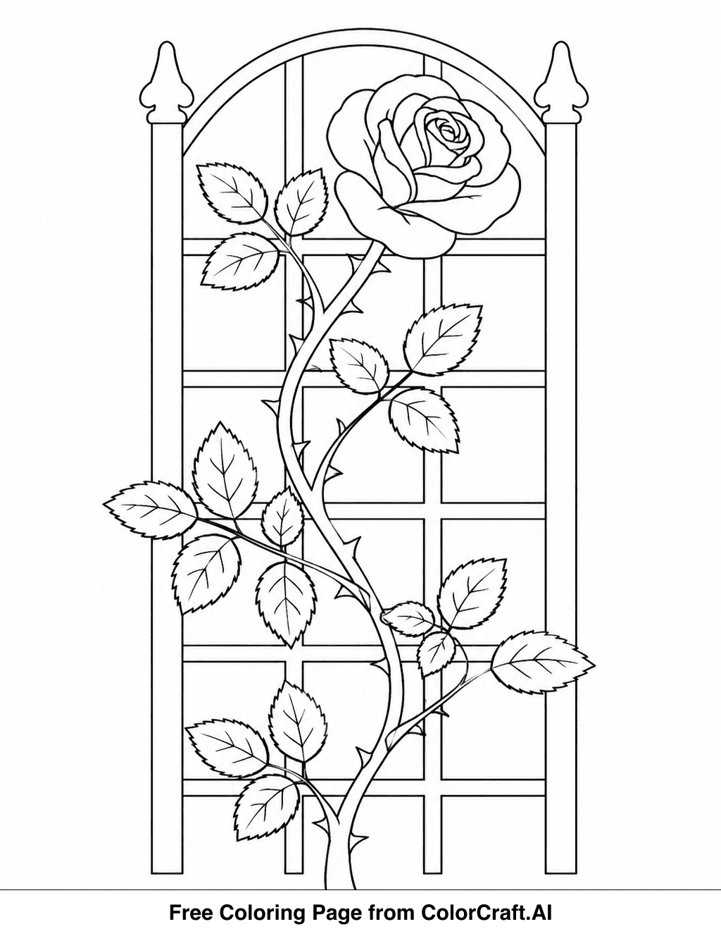 Line drawing of a rose plant with a stem, leaves, and thorns climbing a garden trellis.