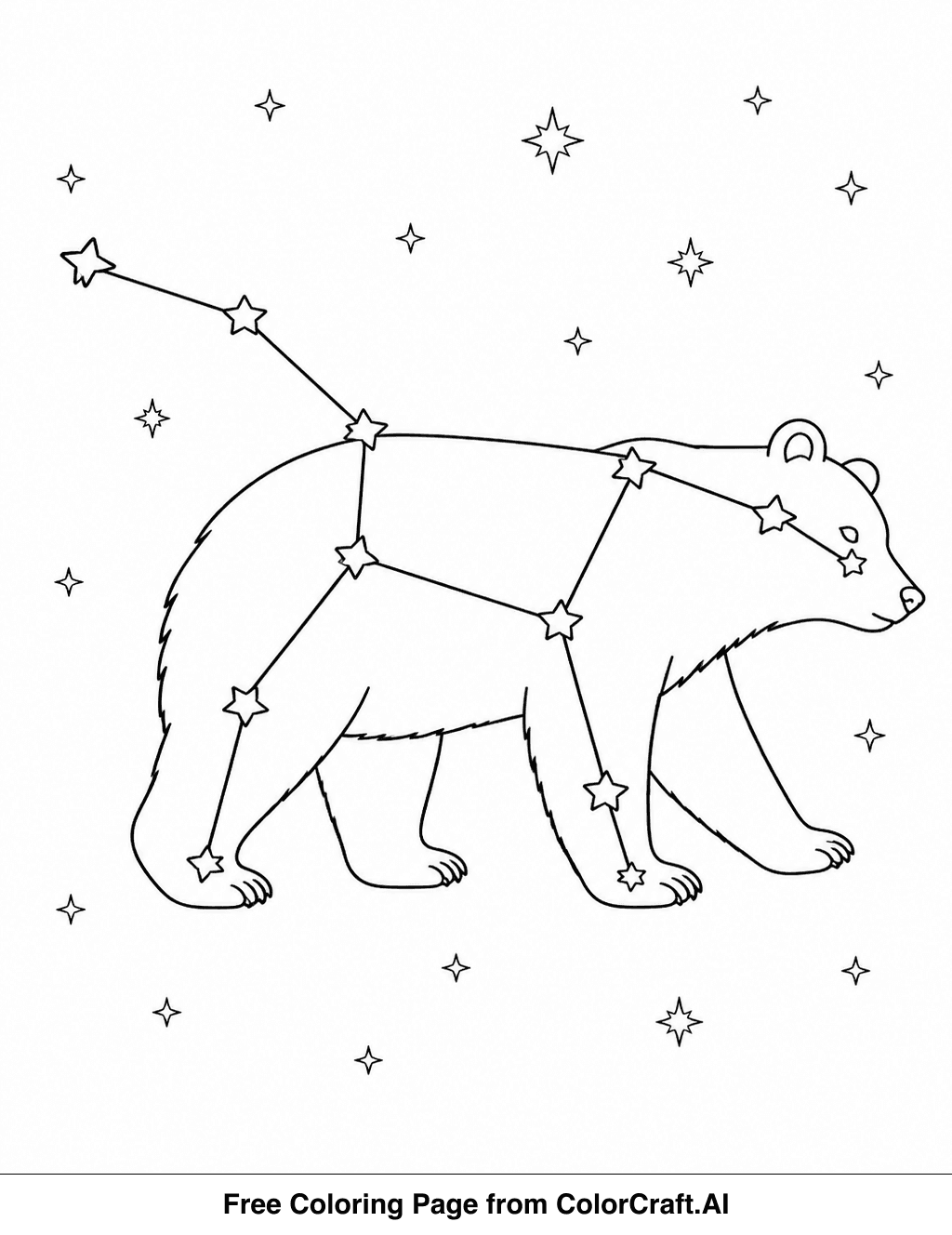 Line drawing of a constellation map showing stars connected to form the shape of a bear in the night sky.
