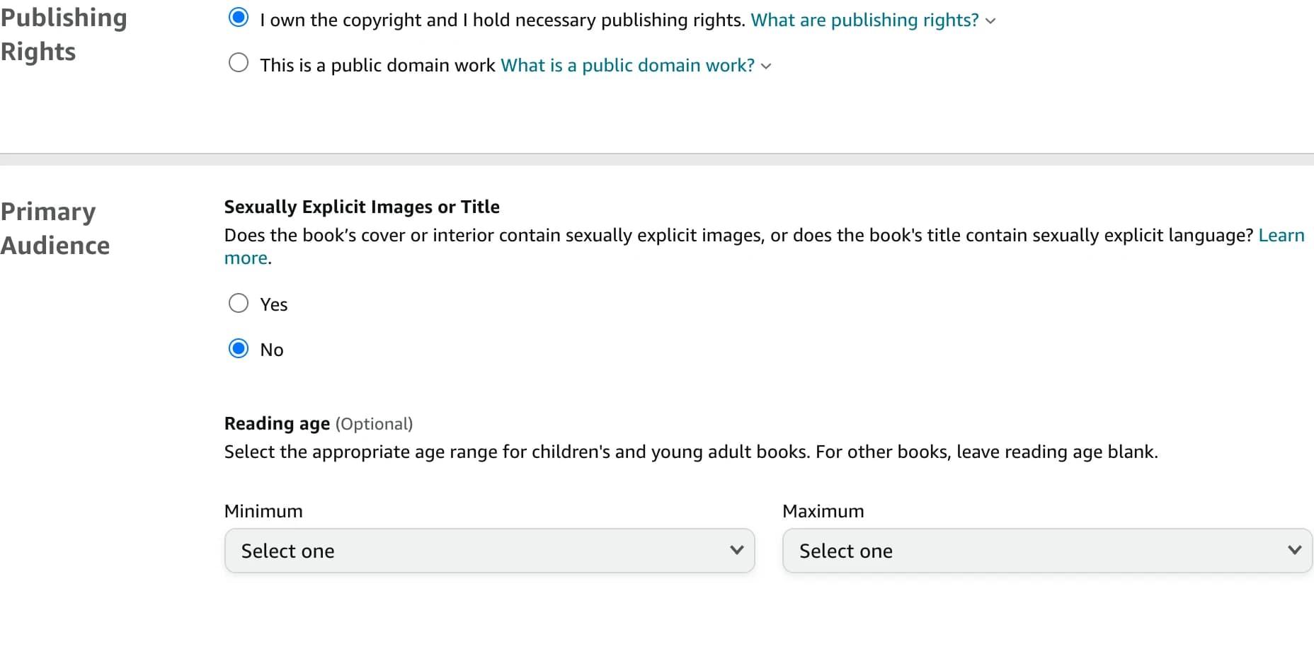 Publishing Rights with I own the copyright selected, Sexually Explicit Images or Title set to No, and Reading age minimum and maximum left as Select one.